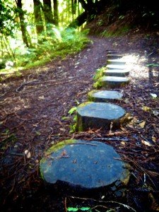 Stepping tree stones